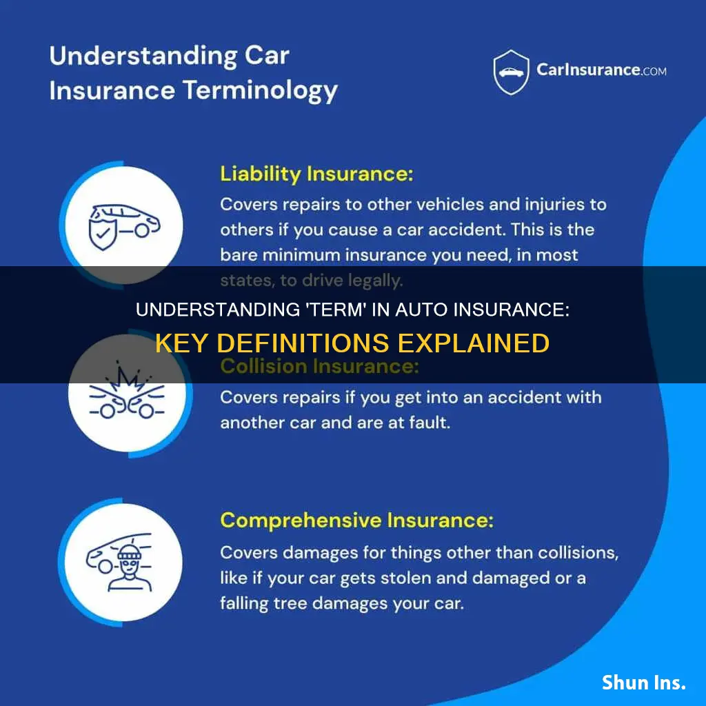 what is the meaning of term in auto insurance