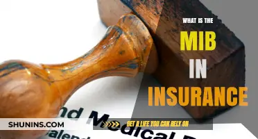Understanding the MIB: Role and Importance in Insurance Explained