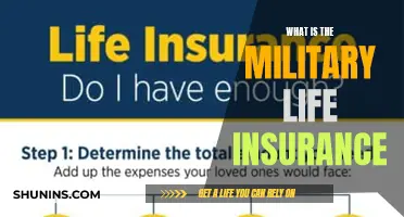 Unraveling the Mystery: Military Life Insurance Explained