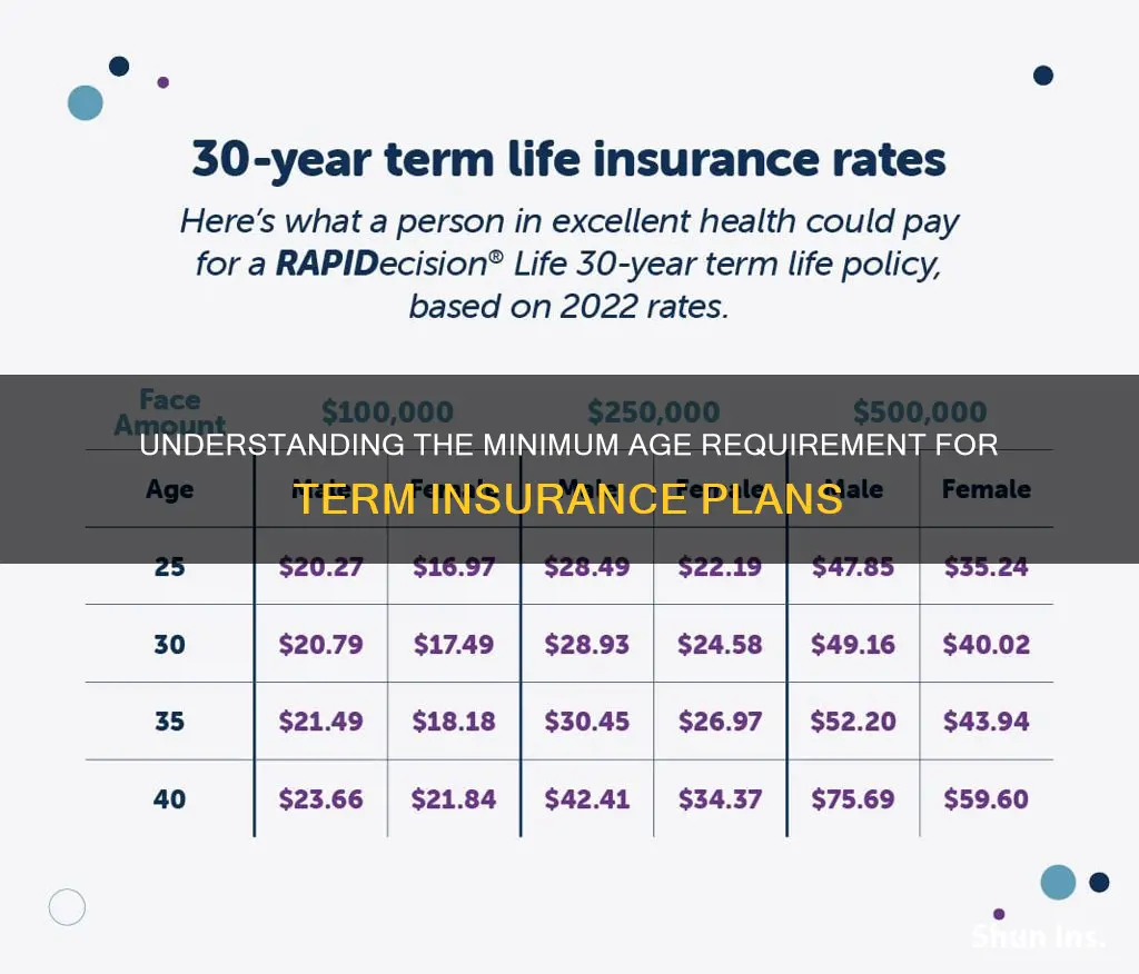 what is the minimum age for term insurance