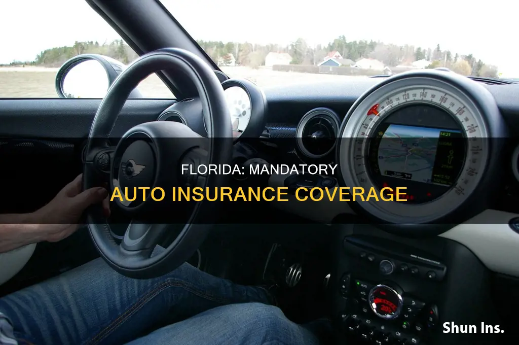 what is the minimum auto insurance coverage in Florida