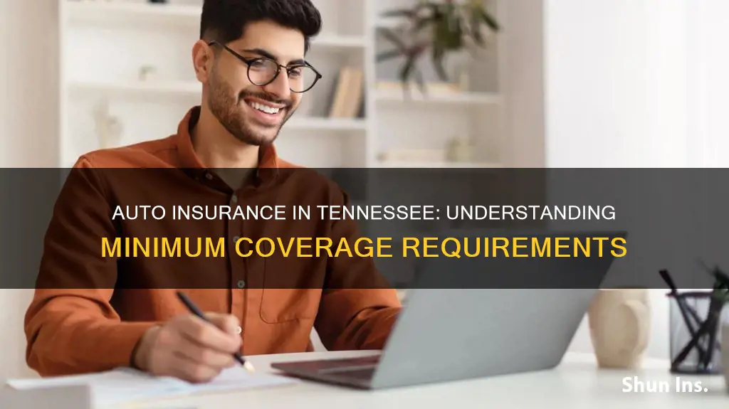 what is the minimum auto insurance coverage in Tennessee