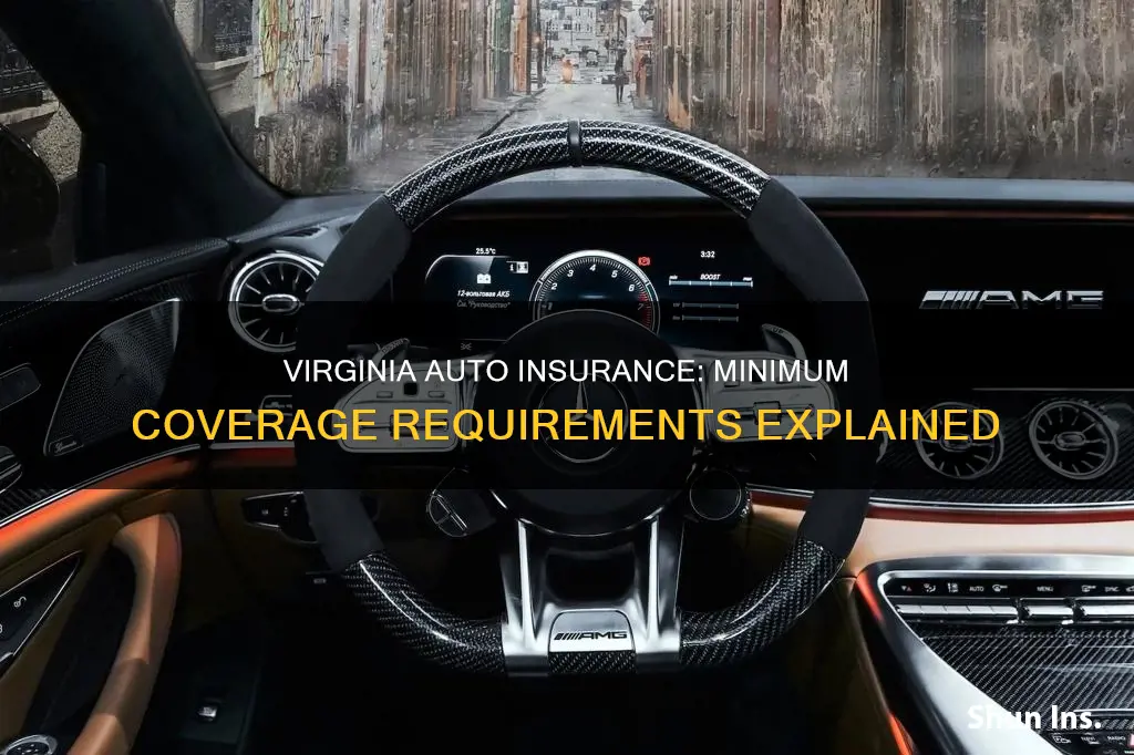 what is the minimum auto insurance coverage in Virginia