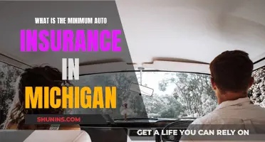 Auto Insurance in Michigan: Understanding the Minimum Requirements