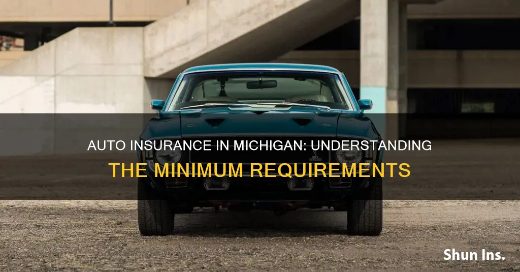 what is the minimum auto insurance in Michigan