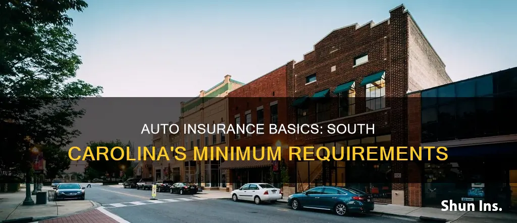 what is the minimum auto insurance required in sc