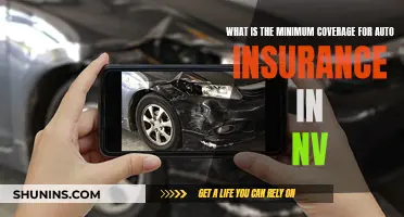 Auto Insurance in Nevada: Understanding the Minimum Coverage Requirements