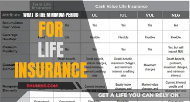 Understanding the Basics: Minimum Duration of Life Insurance Policies