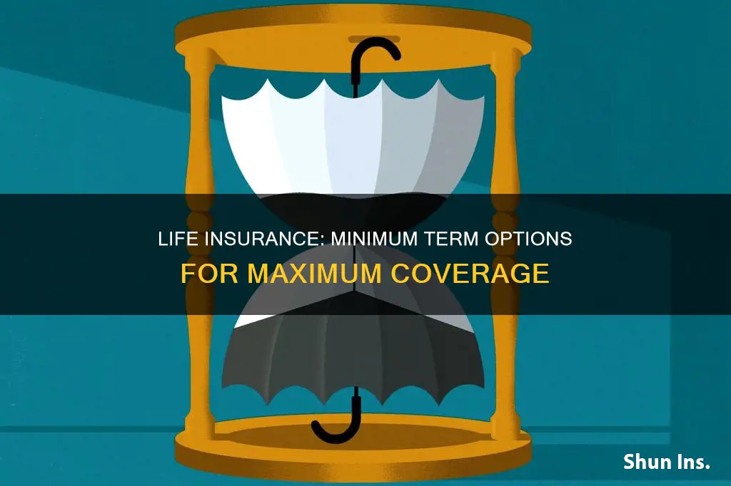 what is the minimum period for life insurance