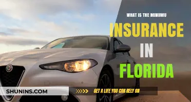 Florida's Insurance Minimums: What You Need to Know