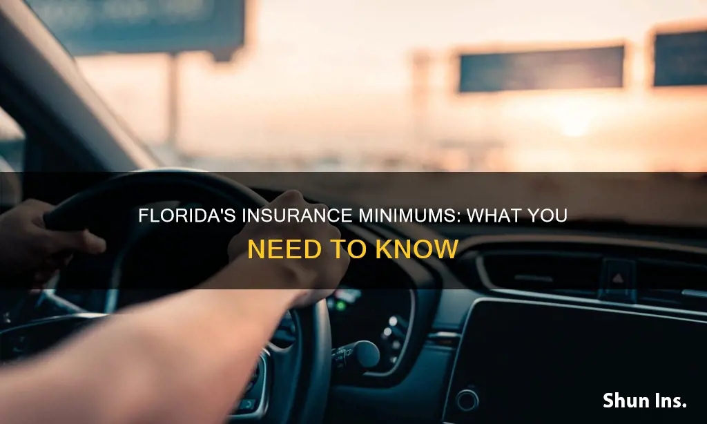 what is the minumu insurance in Florida