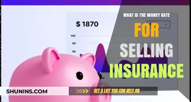 How Much Money Can You Make Selling Insurance?