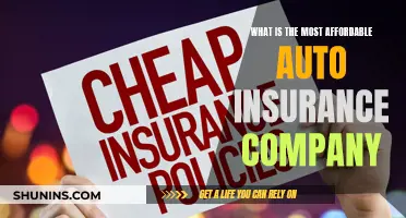 Affordable Auto Insurance: Which Company Offers the Best Rates?