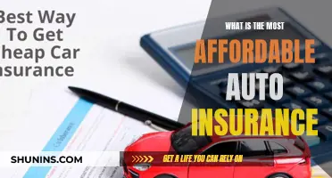 Best Affordable Auto Insurance Options