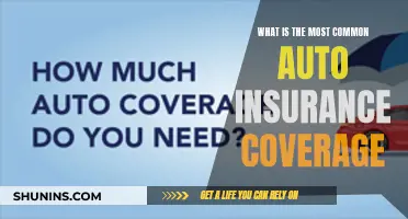 Auto Insurance: Understanding the Most Common Coverage Options