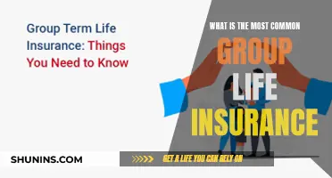 Understanding the Most Common Group Life Insurance Plans