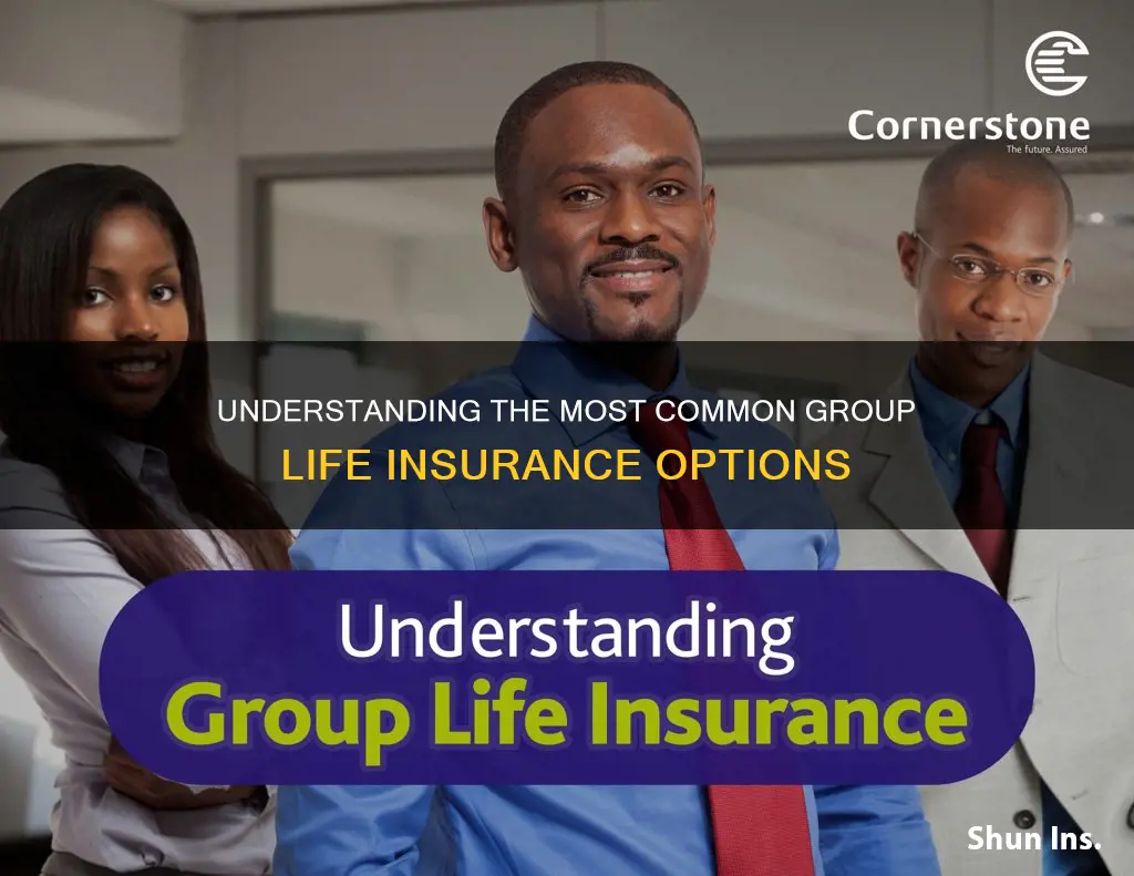 what is the most common group life insurance
