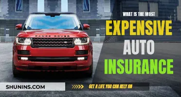 Expensive Auto Insurance: What's the Costliest Coverage?