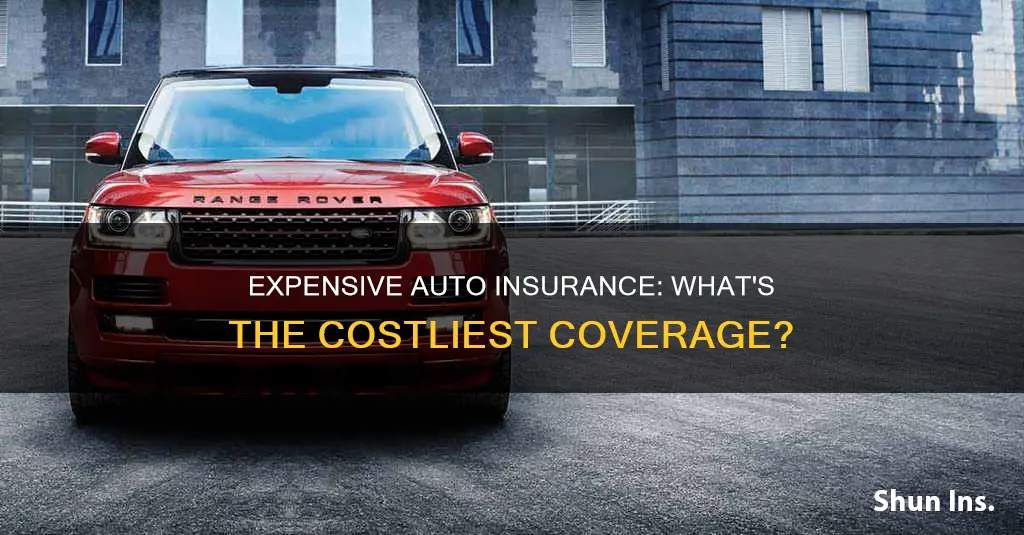 what is the most expensive auto insurance