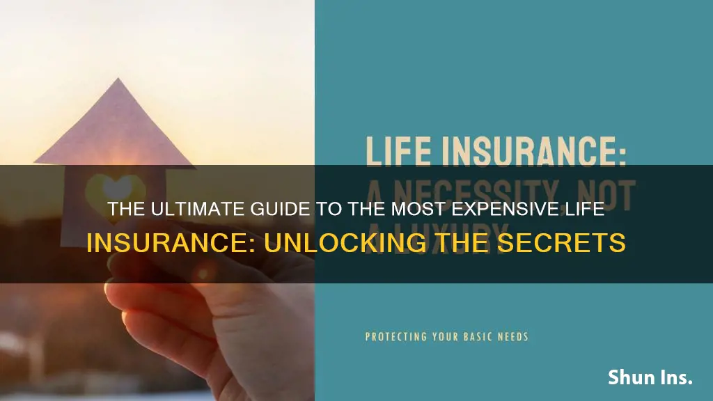 what is the most expensive life insurance