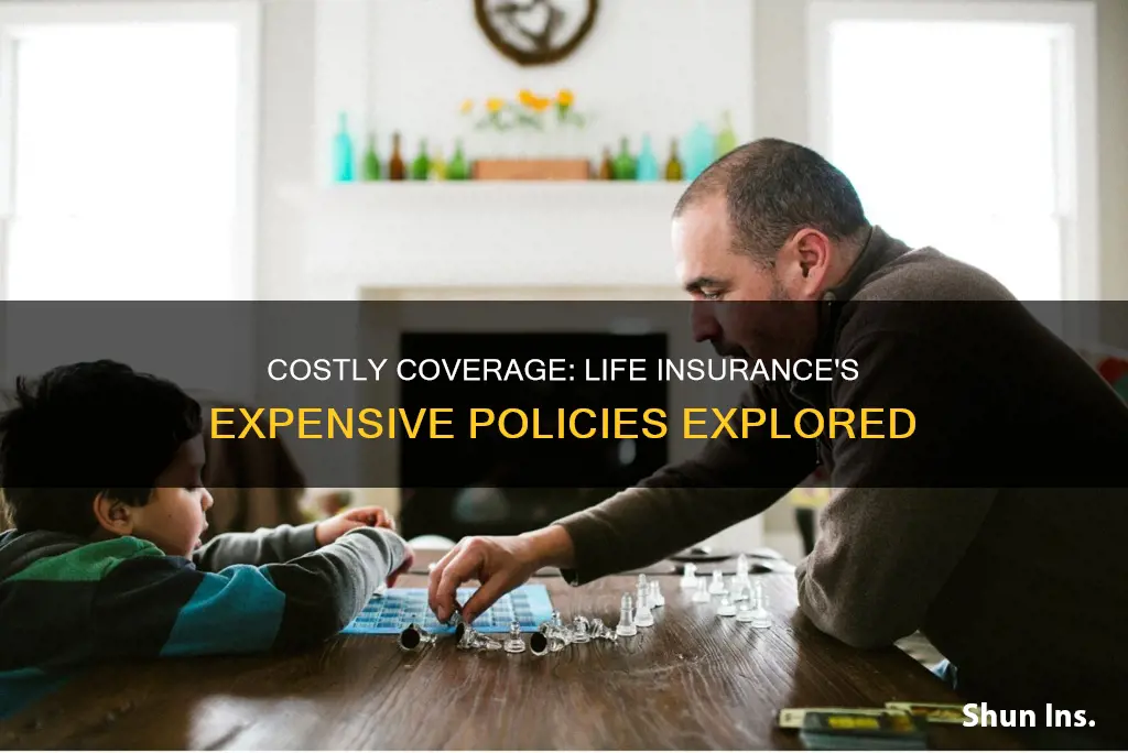 what is the most expensive life insurance