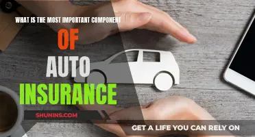 Understanding Auto Insurance: The Critical Component You Need