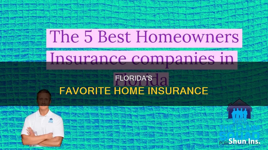 what is the most popular house insurance in Florida