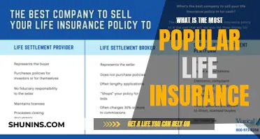 The Top-Rated Life Insurance: A Comprehensive Guide