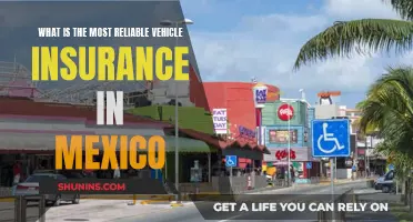 Best Vehicle Insurance in Mexico