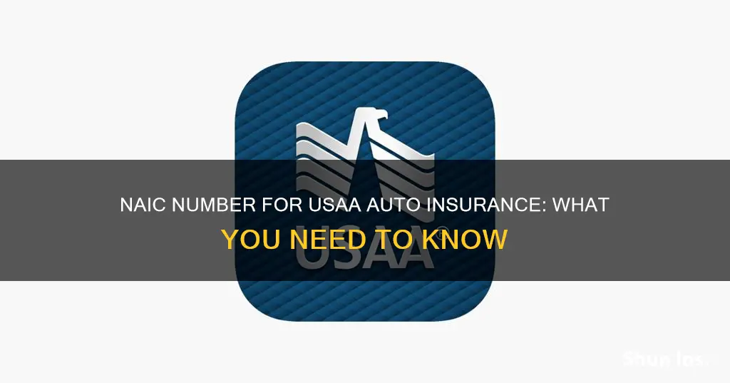 what is the naic number for usaa auto insurance