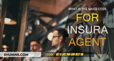 NAICS Code for Insurance Agents: Understanding Industry Classification