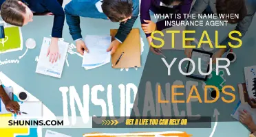 Insurance Fraud: When Agents Steal Your Leads