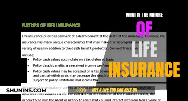 Understanding Life Insurance: A Comprehensive Guide to Its Nature