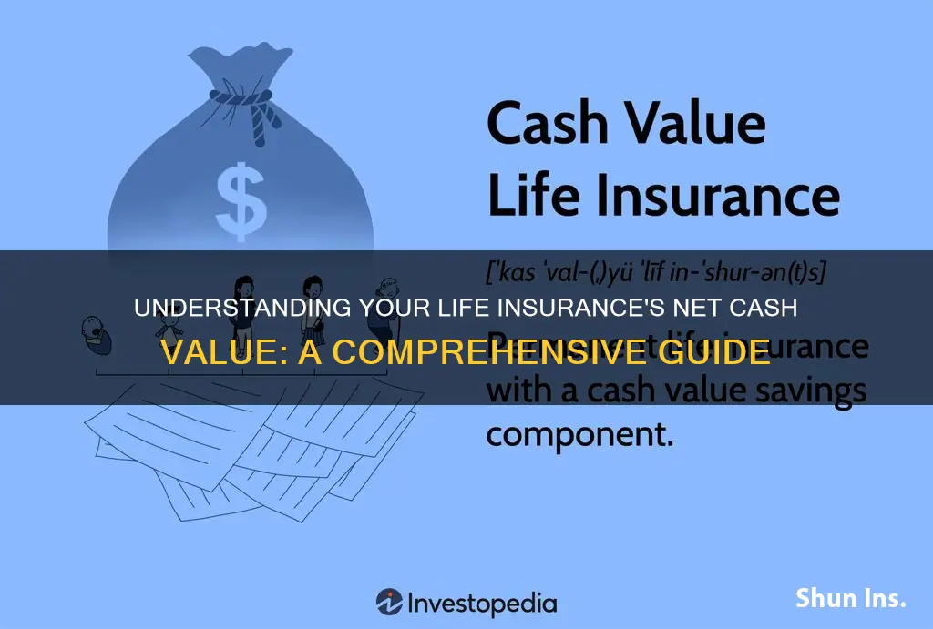 what is the net cash value of my life insurance