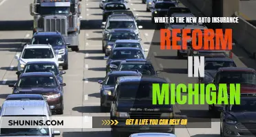 Michigan's Auto Insurance Reform: What's New?