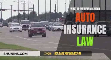 Michigan's New Auto Insurance Law: What You Need to Know