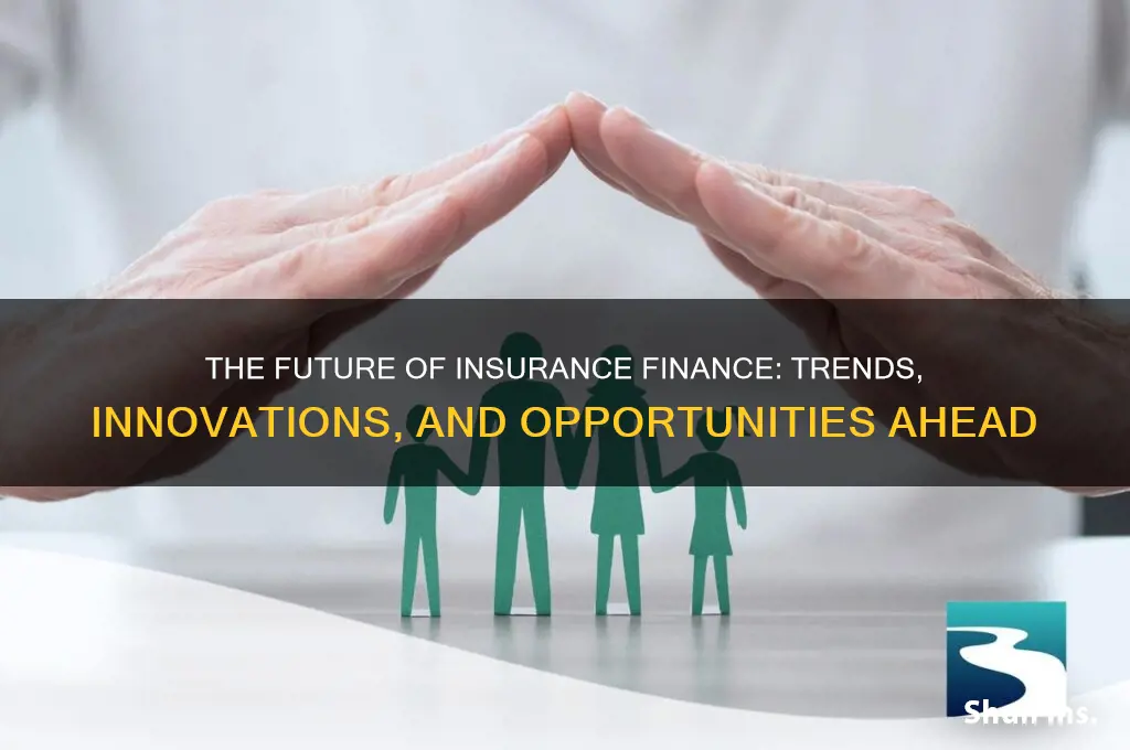 what is the next decade of insurance finance