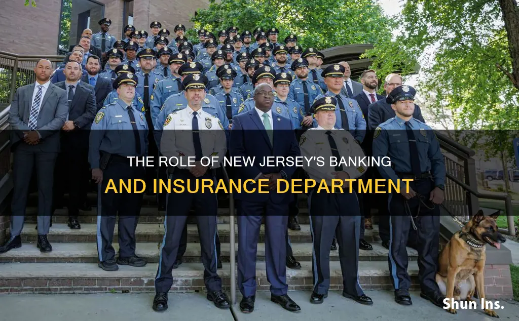 what is the nj department of banking and insurance
