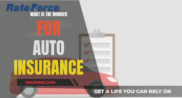 Auto Insurance: Understanding the Numbers Behind Your Policy