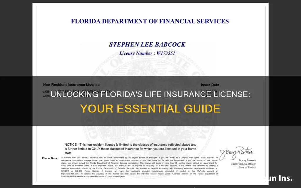 what is the number for the florida life insurance license