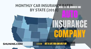 Best Auto Insurance Company: Top Provider for Your Vehicle