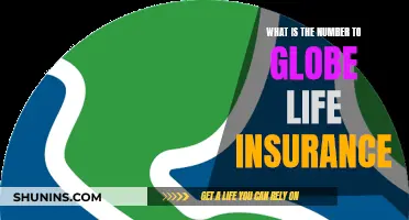 Contact Globe Life Insurance: Get the Right Number