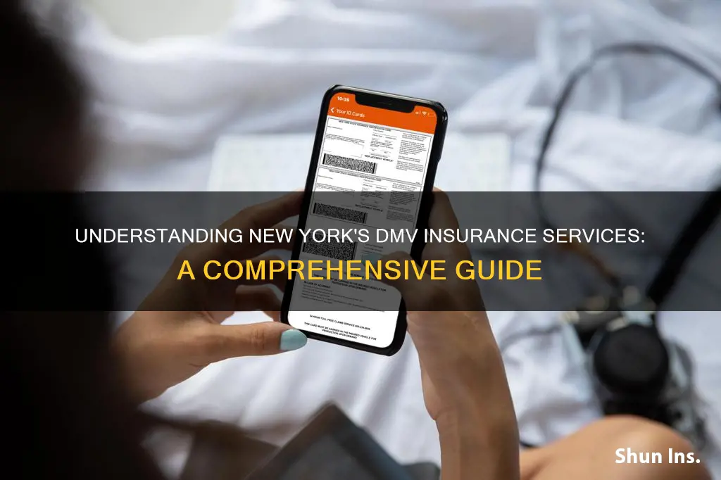 what is the nys dmv insurance services about