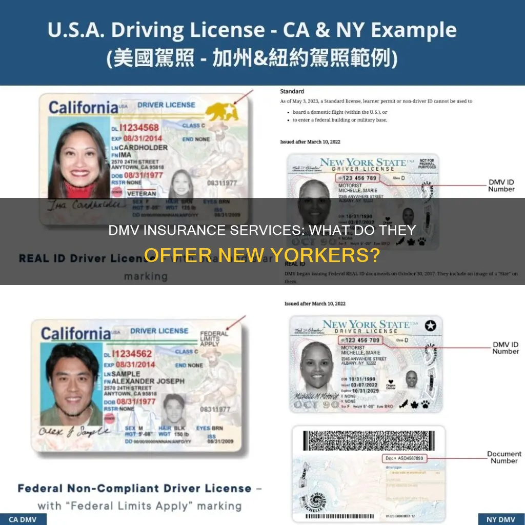 what is the nys dmv insurance services about