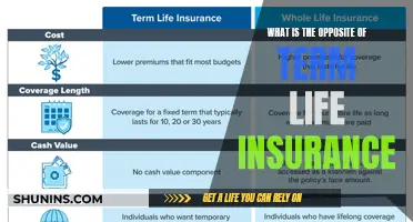 Understanding the Opposite: Permanent Life Insurance Explained