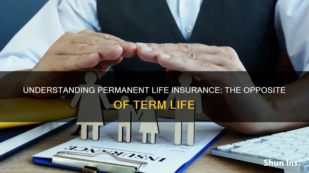 what is the opposite of term life insurance