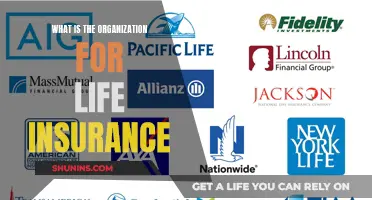 Understanding the Role of the Organization for Life Insurance