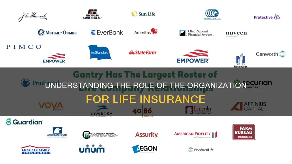 what is the organization for life insurance