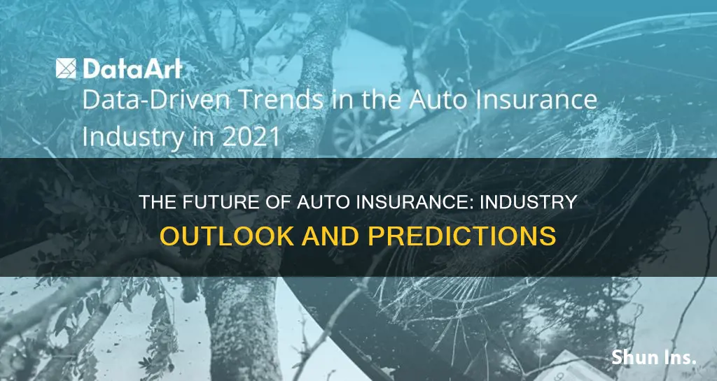 what is the outlook for the auto insurance industry