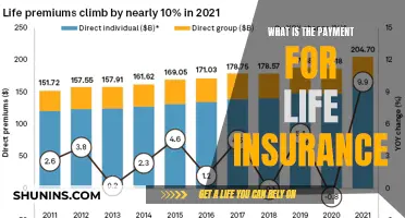 Understanding Life Insurance Premiums: A Comprehensive Guide to Costs